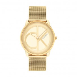 Montre Femme Calvin Klein - Collection Iconic Mesh - Style Tendance - Réf. 25200034