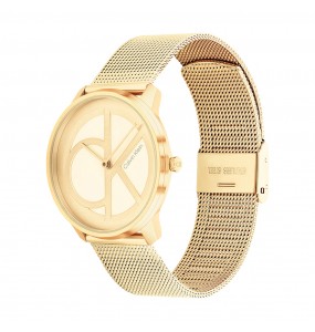 Montre Femme Calvin Klein - Collection Iconic Mesh - Style Tendance - Réf. 25200034