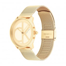 Montre Femme Calvin Klein - Collection Iconic Mesh - Style Tendance - Réf. 25200034