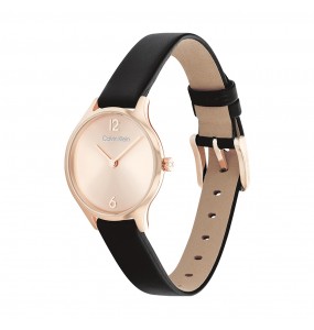 Montre Femme Calvin Klein - Collection Timeless Timeless 2H - Style Tendance - Réf. 25200060