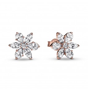 Clous dOreilles Herbier Scintillant