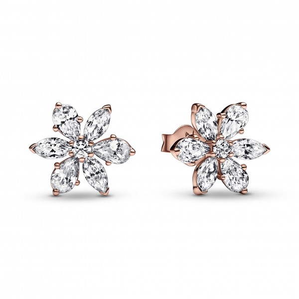 Clous dOreilles Herbier Scintillant