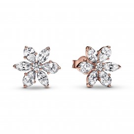 Clous dOreilles Herbier Scintillant