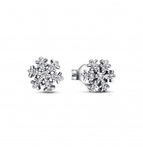 Clous dOreilles Flocon de Neige Scintillant