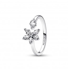 Bague Pandora Ouverte Herbier Scintillant