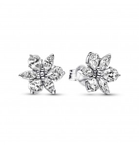 Clous d'Oreilles Pandora Herbier Scintillant