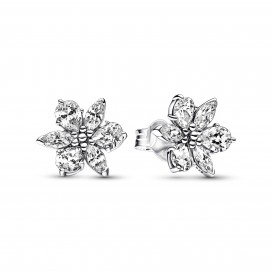 Clous d'Oreilles Pandora Herbier Scintillant