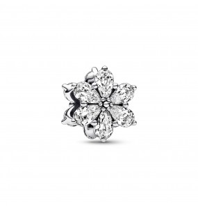 Charm Pandora Herbier Scintillant