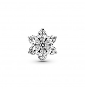 Charm Pandora Herbier Scintillant