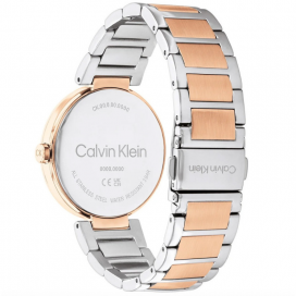 Montre Femme Calvin Klein bracelet Acier 25200251