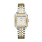 Montre Femme Cluse bracelet Acier CW11801